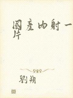 国产内射一级一片