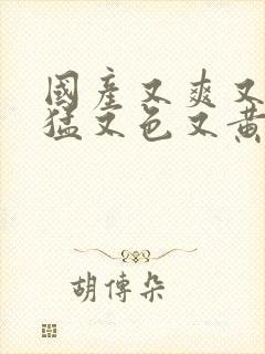 国产又爽又粗又猛又色又黄