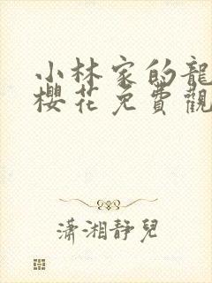 小林家的龙女仆樱花免费观看高清封面