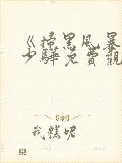 《扫黑风暴》卢少骅免费观看完整版封面