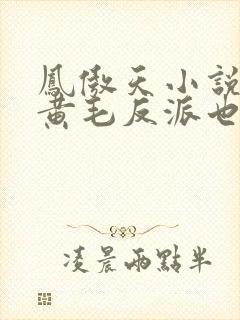 凤傲天小说里的黄毛反派也想幸福小说在线