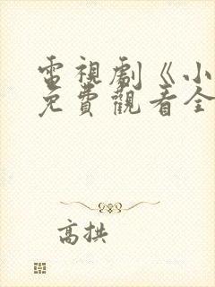 电视剧《小舅》免费观看全集