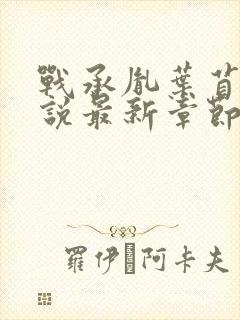 战承胤叶苜苜小说最新章节