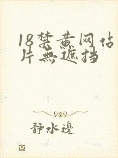 18禁黄网站禁片无遮挡