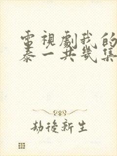 电视剧我的阿勒泰一共几集