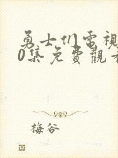 勇士们电视剧40集免费观看