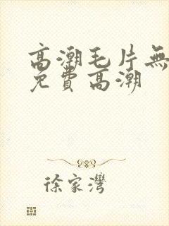 高潮毛片无遮挡免费高潮