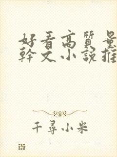 好看高质量的高干文小说推荐