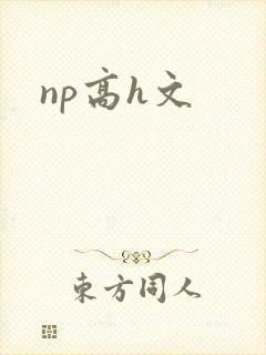 np高h文