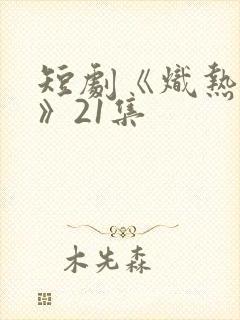 短剧《炽热吸引》21集