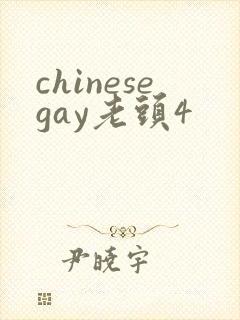 chinesegay老头4