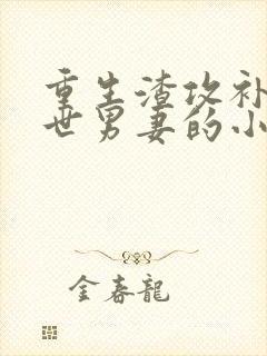 重生渣攻补偿前世男妻的小说