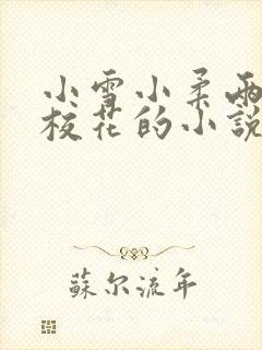 小雪小柔两个大校花的小说免费阅读封面