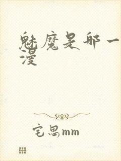 魅魔是哪一个动漫