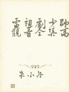 电视剧少帅免费观看全集高清