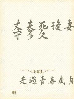 丈夫死后妻子要守多久封面