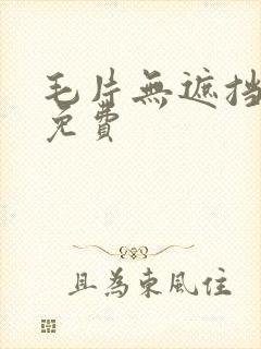 毛片无遮挡高清免费