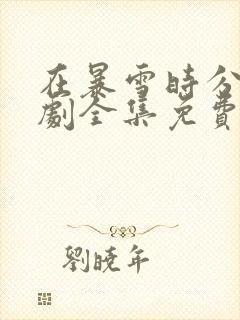 在暴雪时分电视剧全集免费完整版