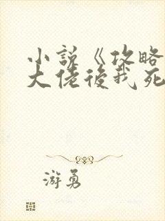 小说《攻略七个大佬后我死遁了》