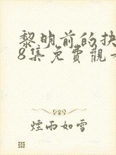 黎明前的抉择48集免费观看封面