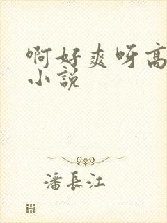 啊好爽呀高潮了小说