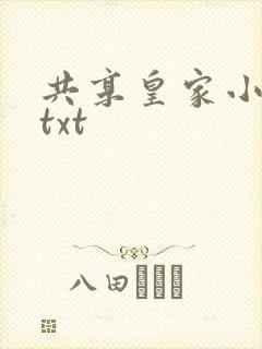 共享皇家小公主txt