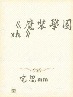 《魔装学园 hxh 》