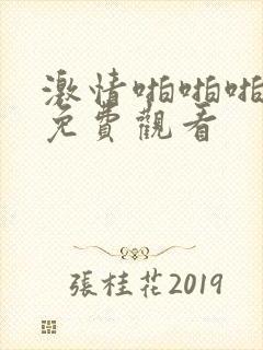 激情啪啪啪在线免费观看