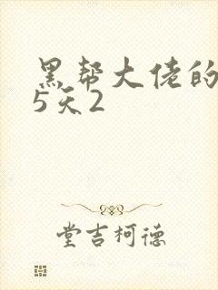 黑帮大佬的365天2