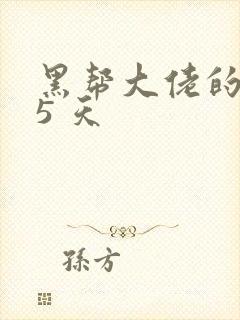 黑帮大佬的365 天