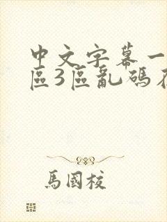 中文字幕一区2区3区乱码在线