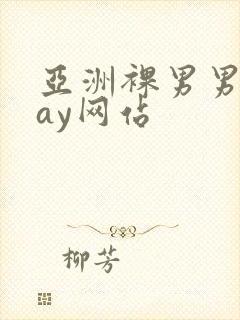 亚洲裸男男同gay网站