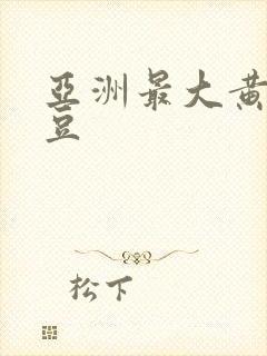 亚洲最大黄色麻豆