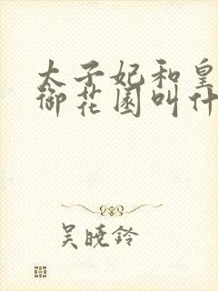 太子妃和皇帝在御花园叫什么小说