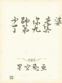 少帅你老婆又跑了第九集