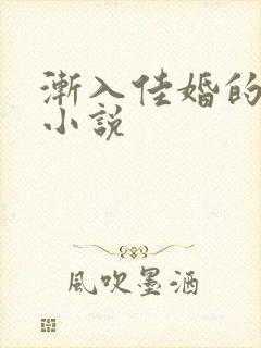 渐入佳婚的原著小说