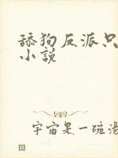 舔狗反派只想苟小说