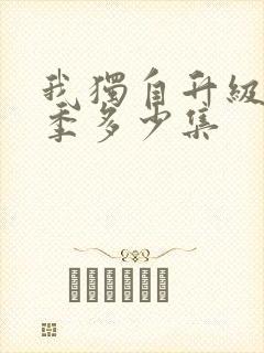 我独自升级第一季多少集