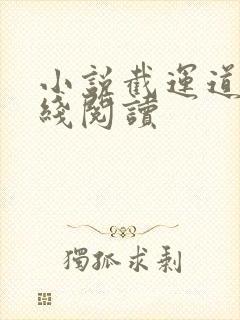 小说截运道师在线阅读