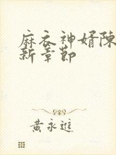麻衣神婿陈黄皮新章节封面