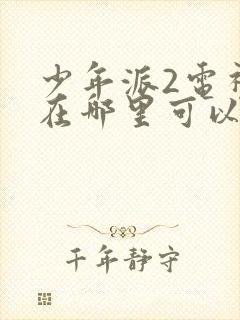 少年派2电视剧在哪里可以看封面