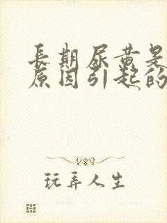 长期尿黄是什么原因引起的