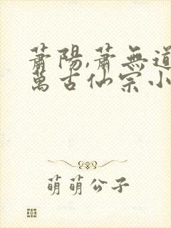 萧阳,萧无道,万古仙宗小说封面