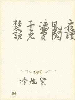 楚千漓风夜玄小说免费阅读无弹窗