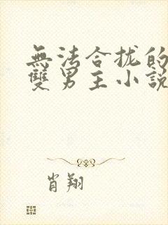 无法合拢的总裁双男主小说