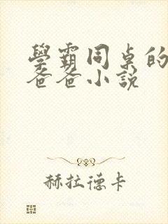 学霸同桌的痞坏爸爸小说