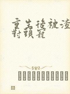 重生后被渣男死对头宠