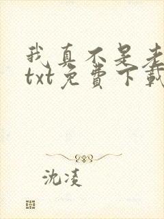 我真不是老不老txt免费下载
