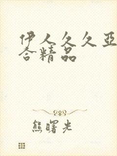 伊人久久亚洲综合精品