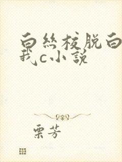 白丝校脱白丝让我c小说封面